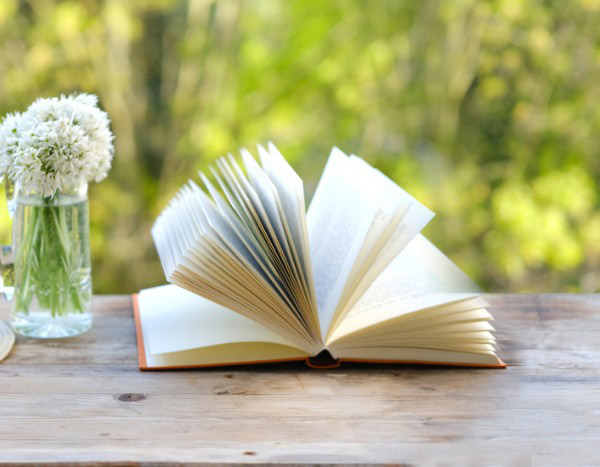 De la semilla a la página: ¿cómo crear un diario de jardín paso a paso?