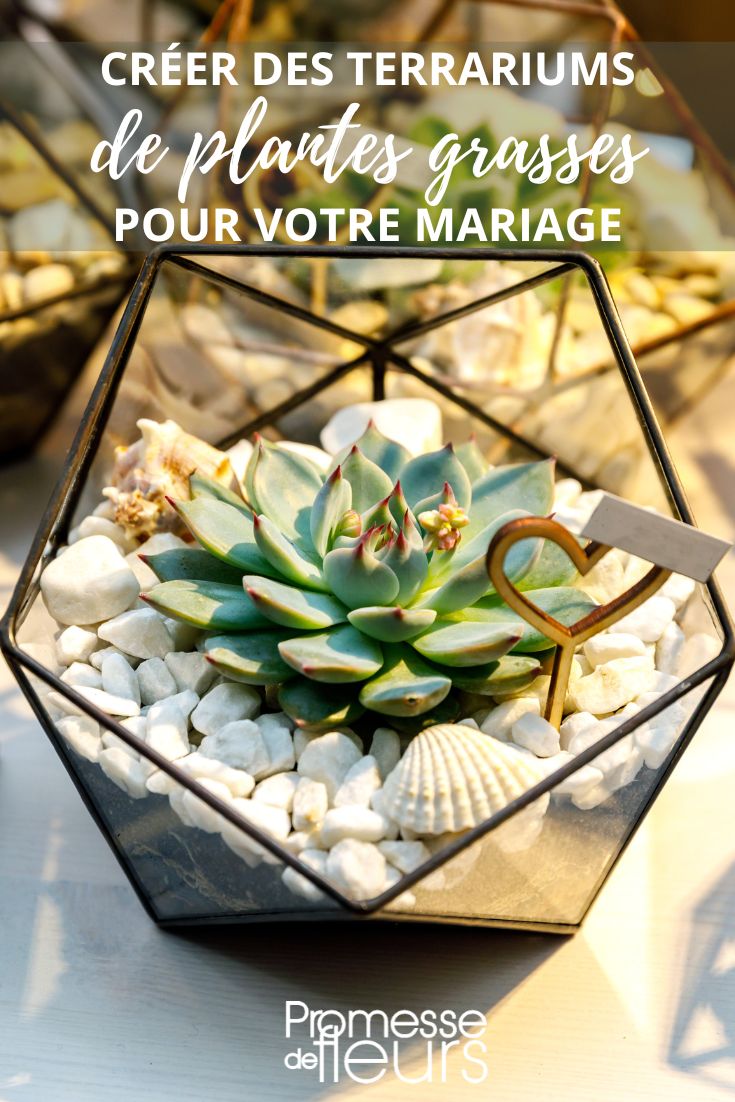 DIY de mini terrarios decorativos