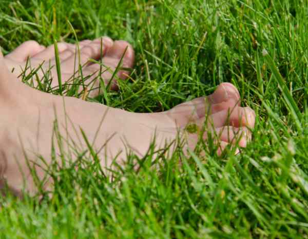 Grounding o Earthing: ¿cómo reconectarse con la Tierra?
