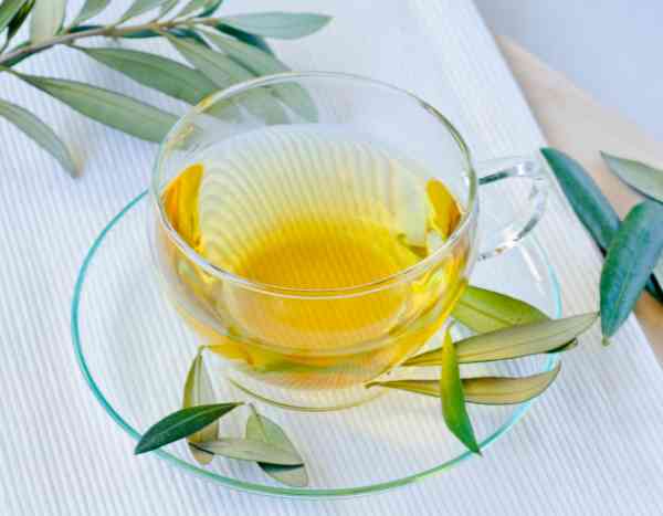 La infusión de hojas de olivo: beneficios y recomendaciones
