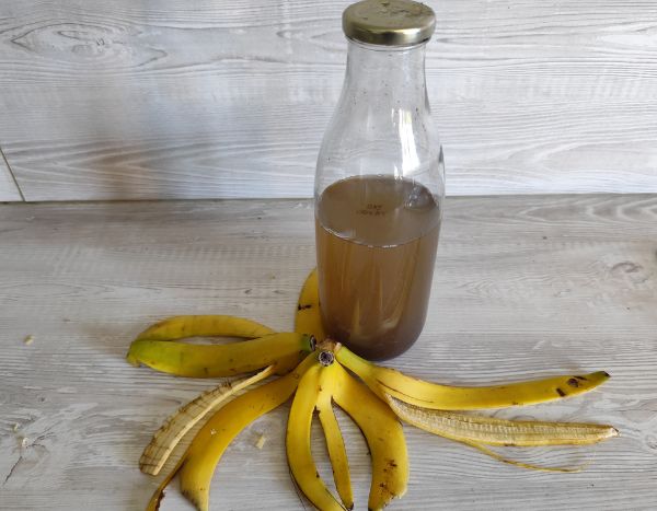 ¿Cómo hacer purín de piel de plátano?