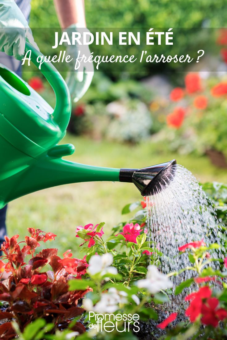 regadera y jardín de verano