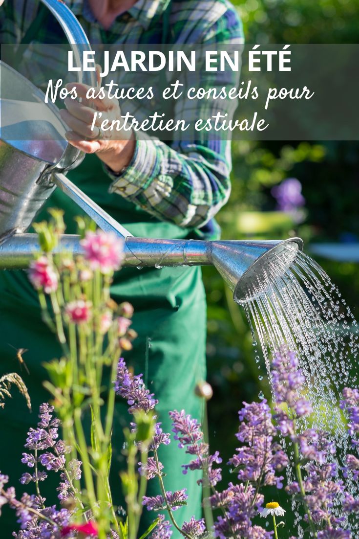 qué hacer en el jardín durante el verano