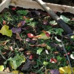 Nuestros consejos para gestionar bien tu compost en verano