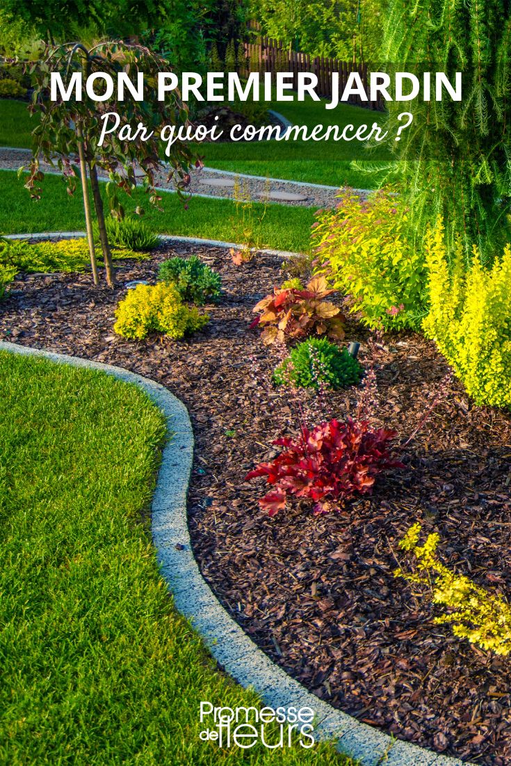 # Por dónde empezar en jardinería: ideas y consejos para tu primer jardín  

## Primeros pasos en el mundo de la jardinería  

Si estás dando tus primeros pasos en el mundo de la jardinería, ¡enhorabuena! Cultivar tus propias plantas es una actividad gratificante y relajante. Pero antes de lanzarte, es importante planificar bien tu proyecto para evitar frustraciones.  

### 1. **Elige el lugar adecuado**  
No todas las plantas necesitan las mismas condiciones. Observa tu espacio:  
- ¿Tienes sol o sombra?  
- ¿El suelo es arcilloso, arenoso o rico en materia orgánica?  
- ¿Hay espacio suficiente para macetas o un jardín en tierra?  

### 2. **Empieza con plantas fáciles**  
Para principiantes, es mejor elegir especies resistentes y poco exigentes:  
- **Plantas ornamentales:** Geranios, lavanda, suculentas.  
- **Hortalizas:** Lechugas, rábanos, tomates cherry.  
- **Aromáticas:** Albahaca, menta, perejil.  

### 3. **Prepara bien el suelo**  
Un buen sustrato es clave para el éxito:  
- Mezcla tierra con compost para enriquecerla.  
- Si cultivas en macetas, usa sustrato específico.  
- Evita encharcamientos con un buen drenaje.  

### 4. **Riego adecuado**  
- Riega según las necesidades de cada planta.  
- Mejor regar en profundidad y menos frecuentemente.  
- Usa riego por goteo si tienes muchas plantas.  

### 5. **Aprende poco a poco**  
No intentes abarcar demasiado al principio:  
- Empieza con unas pocas plantas.  
- Observa su crecimiento y ajusta los cuidados.  
- Documenta tus avances para aprender de la experiencia.  

## Herramientas básicas para empezar  
No necesitas invertir en equipos caros, pero algunas herramientas son indispensables:  
- **Palita de mano** para trasplantar.  
- **Tijeras de podar** para mantener las plantas.  
- **Regadera** o manguera con difusor.  
- **Guantes** para proteger tus manos.  

## ¡Disfruta del proceso!  
El jardín es un espacio vivo que evoluciona con el tiempo. No te desanimes si algo no sale bien: cada error es una lección. Poco a poco, irás ganando confianza y descubriendo las alegrías de ver crecer tus propias plantas.  

¿Listo para empezar? ¡Tu aventura en el jardín acaba de comenzar! ????