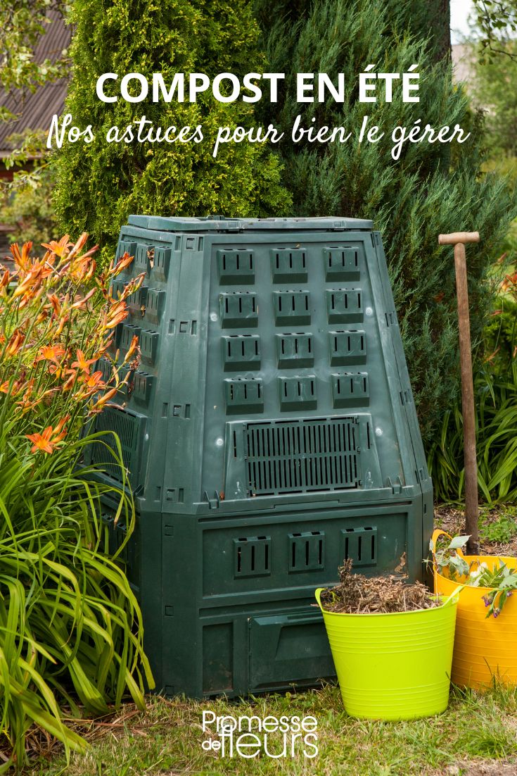 consejos para el compost en verano