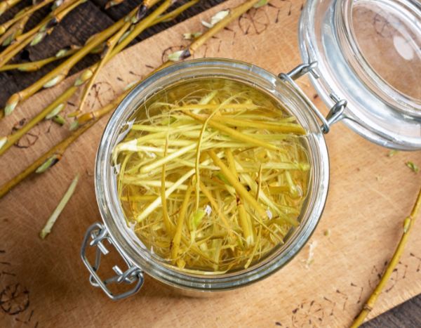 ¿Cómo hacer tus propias hormonas de enraizamiento naturales?