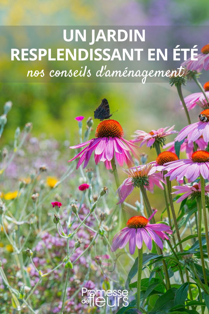 consejos para un jardín hermoso incluso en verano