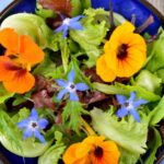 ¿Cómo utilizar la capuchina en la cocina?