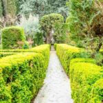 ¿Qué abonos usar para los árboles y los arbustos?