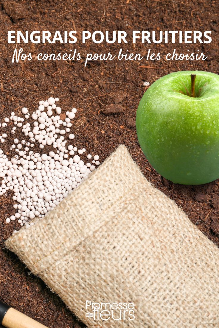 qué abono para mis árboles frutales