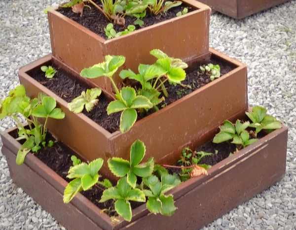 ¿Cómo fabricar una torre para fresones?