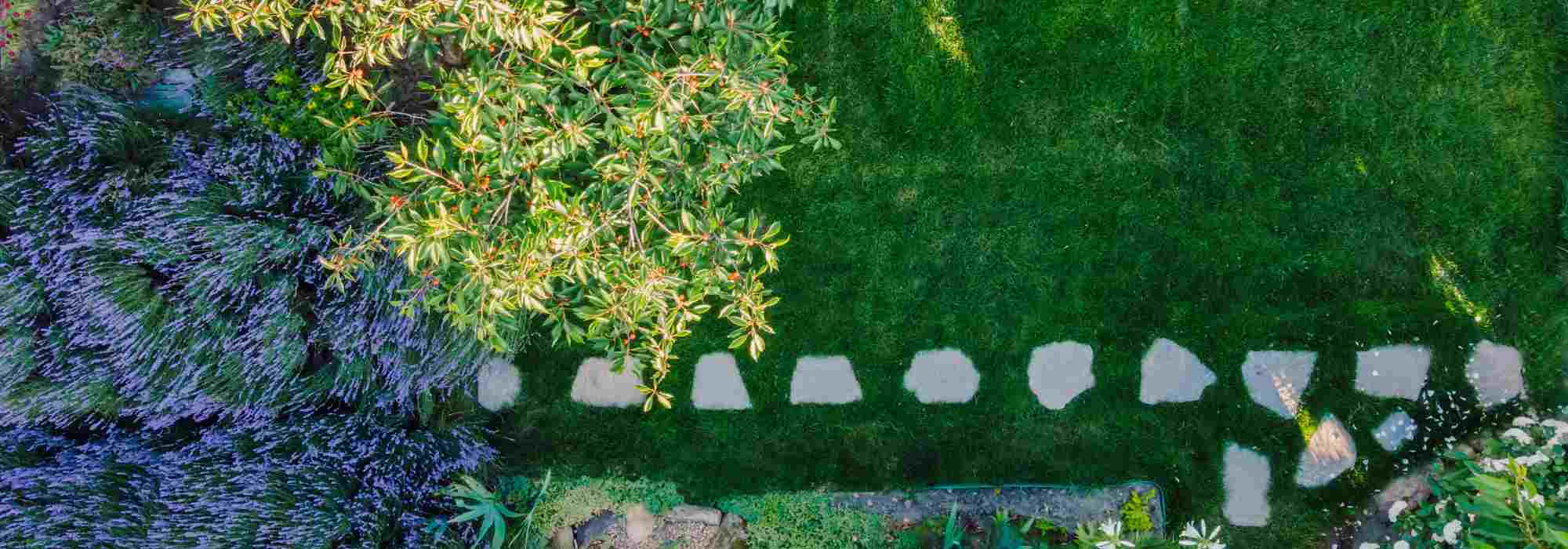 Estoy creando mi primer jardín: ¿por dónde empezar?