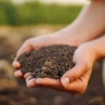 Nuestras soluciones de fertilización 100 % natural para el jardín