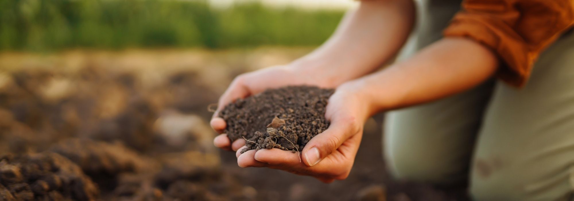 Nuestras soluciones de fertilización 100 % natural para el jardín
