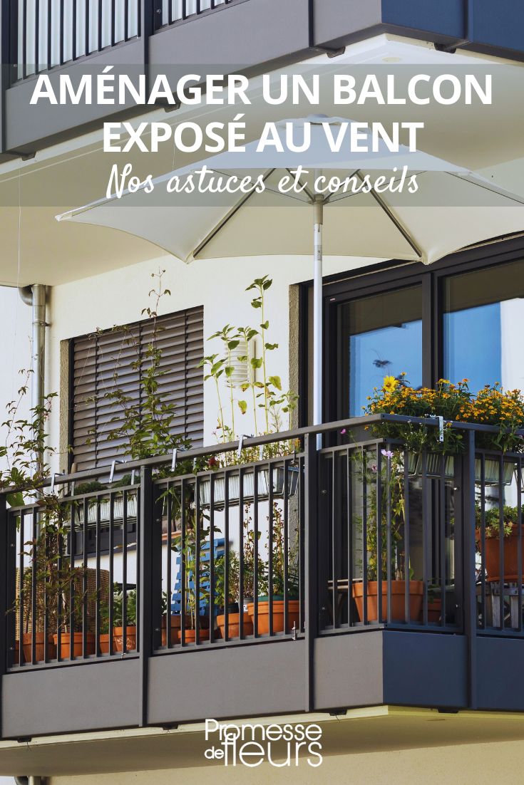 elegir plantas para un balcón ventoso