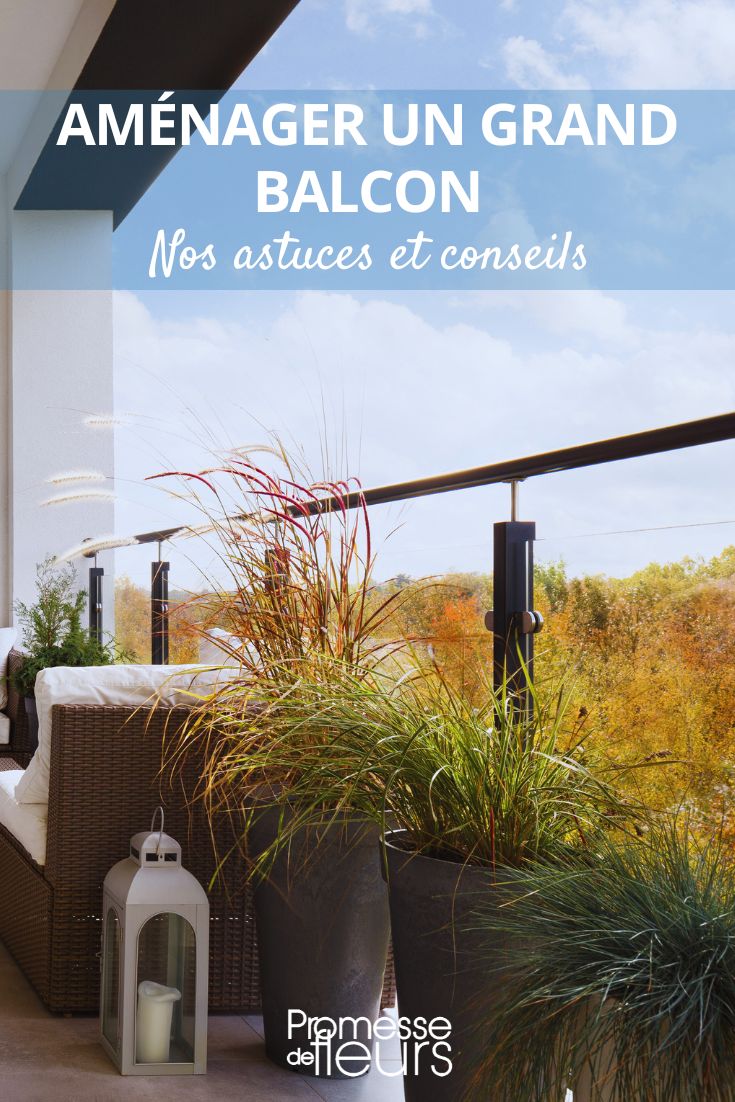 cultivo en un balcón