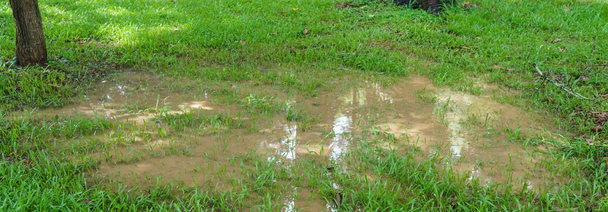 ¿Cómo drenar un césped demasiado húmedo?