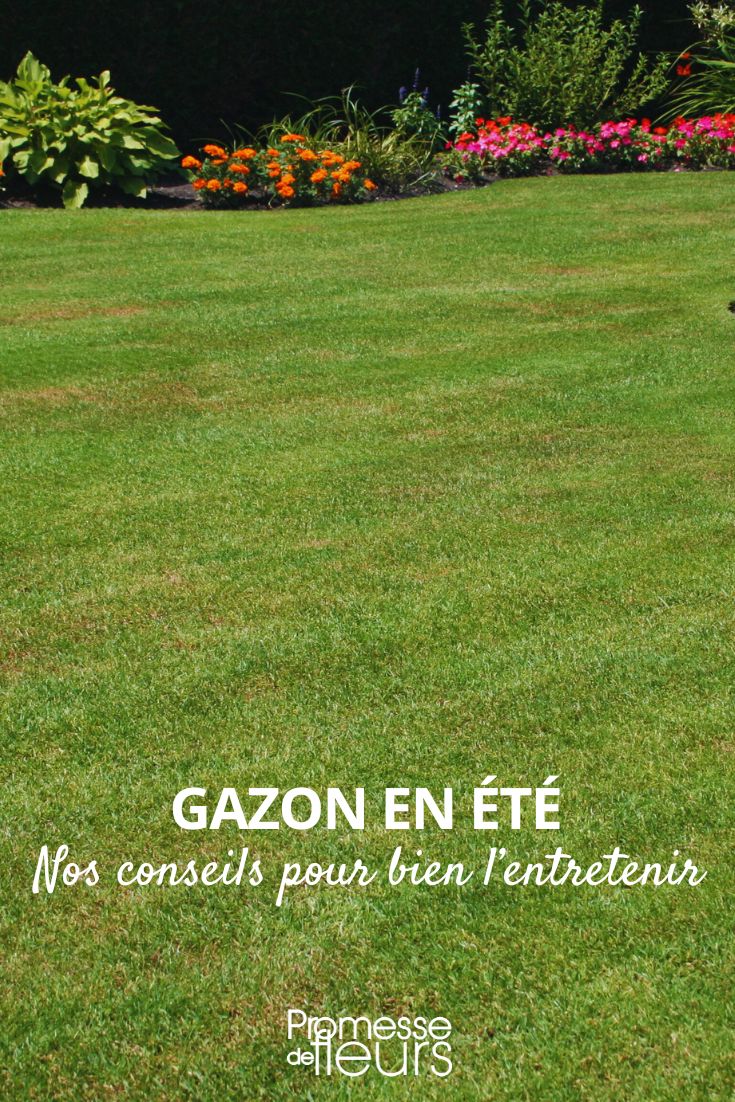 mantenimiento del césped en época estival