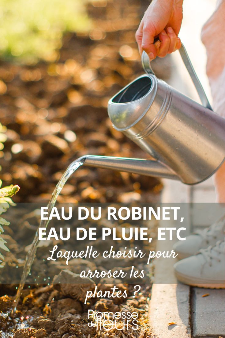 elegir el agua de riego