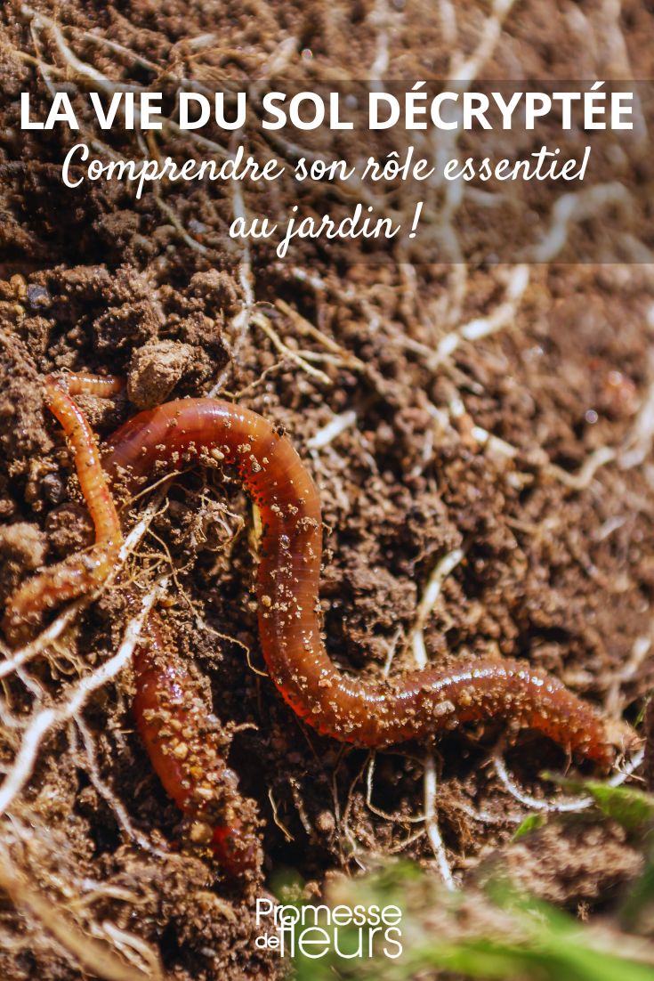 la tierra, la fauna y los microorganismos que la habitan