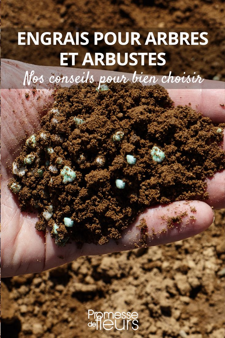 fertilizante para árboles y arbustos