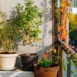 Nuestros consejos para acondicionar bien un balcón orientado al este