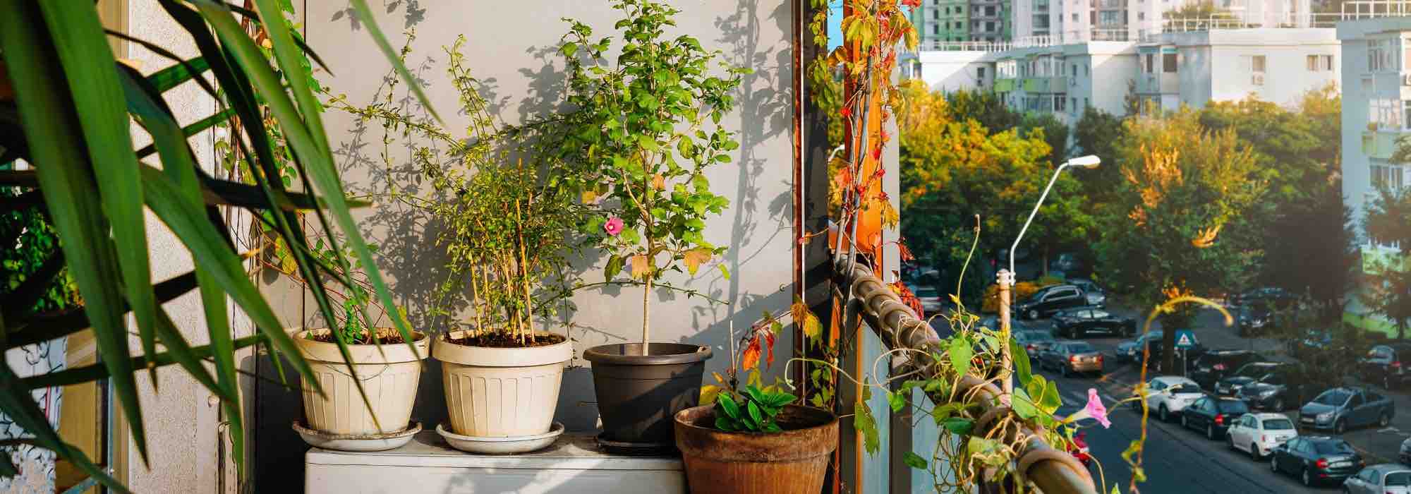 Nuestros consejos para acondicionar bien un balcón orientado al este