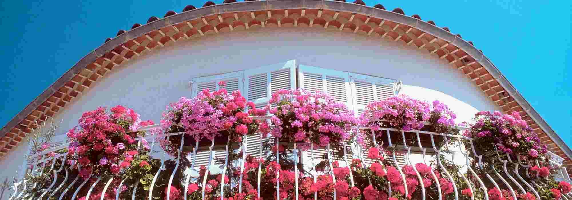 Los fertilizantes para jardinera y maceta: ¿cuándo y cómo usarlos?