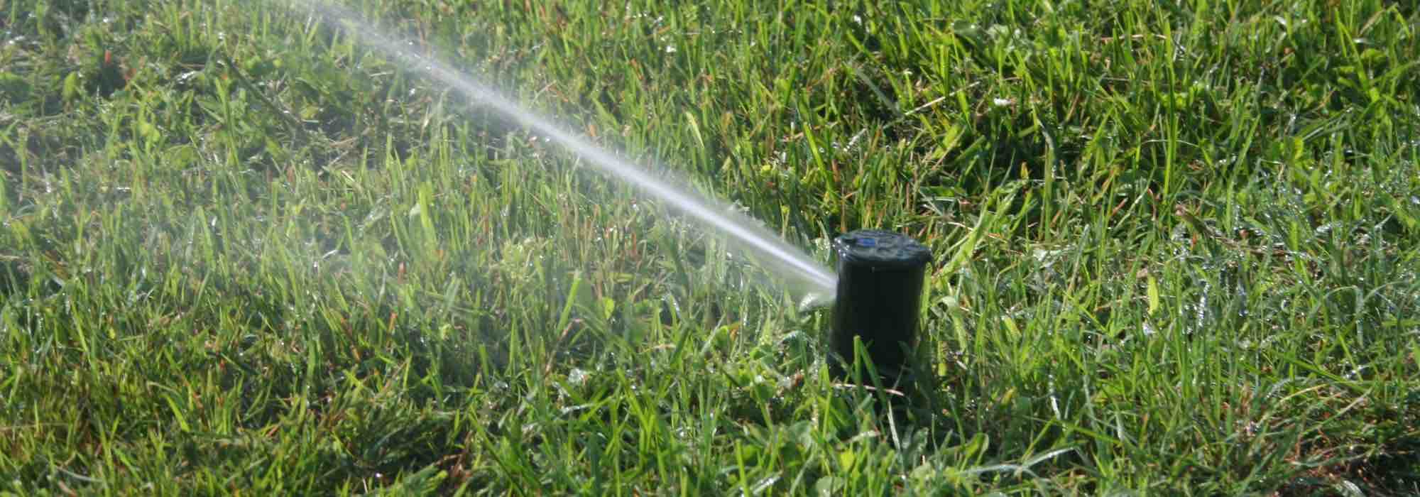 ¿Cómo cuidar el césped en verano?