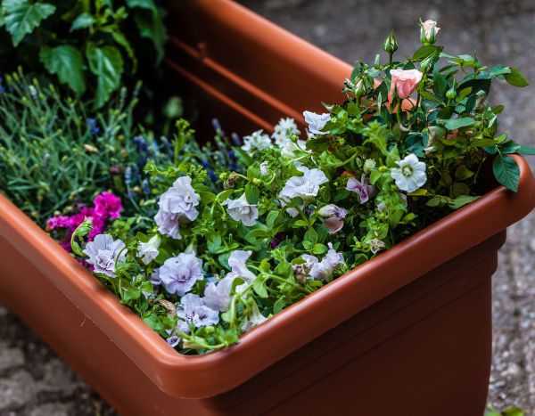 ¿Cómo suspender tus jardinera en 6 lecciones?