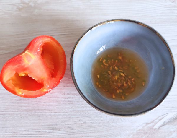 ¿Cómo recolectar y conservar tus semillas de tomate?