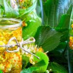 El tilo fresco: un aliado natural para múltiples usos