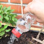Cero residuos: ¿Cómo fabricar un regadero con una botella de plástico?
