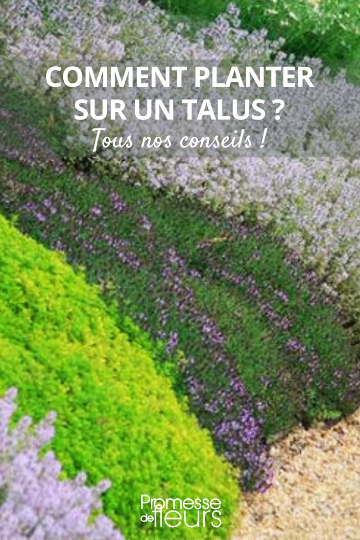 plantaciones en taludes técnica