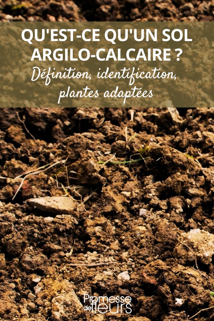 suelo arcillo-calcáreo