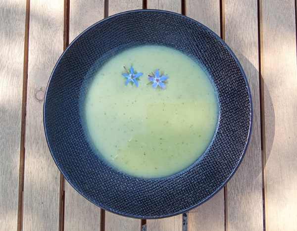 La sopa con hojas de arraclán: una receta sencilla y sabrosa
