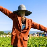¿Cómo fabricar un espantapájaros para el jardín?