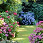 ¿Cómo diseñar un jardín orientado al Este?