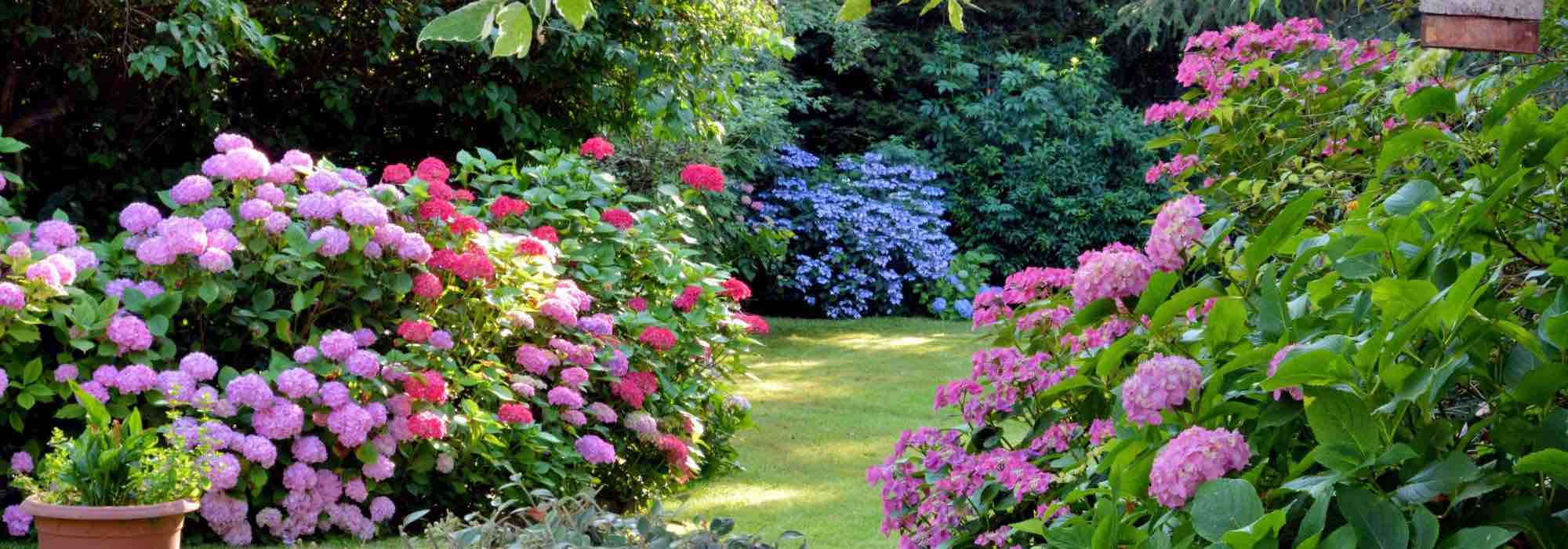 ¿Cómo diseñar un jardín orientado al Este?