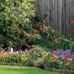 ¿Cómo diseñar un jardín orientado al oeste?