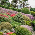 ¿Cómo acondicionar un talud sin mantenimiento?