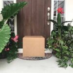 Acabo de recibir mi pedido de plantas: ¿qué debo hacer?