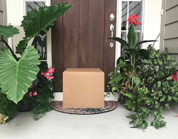 Acabo de recibir mi pedido de plantas: ¿qué debo hacer?