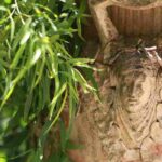 ¿Cómo utilizar y cómo integrar bien las macetas de barro en el jardín?