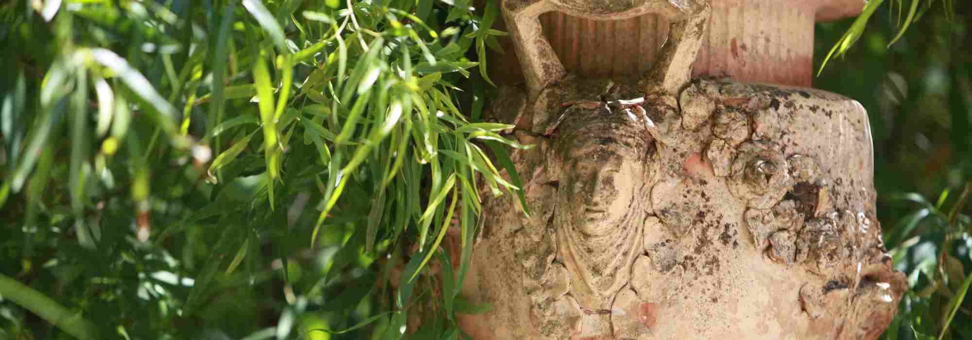 ¿Cómo utilizar y cómo integrar bien las macetas de barro en el jardín?