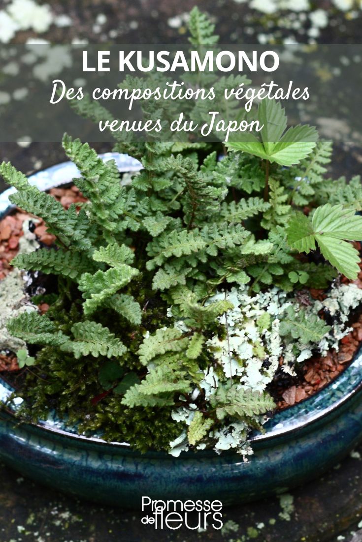 composición floral Kusamono