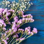 ¿Cómo cosechar y secar el Limonium para ramos duraderos?