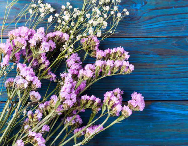 ¿Cómo cosechar y secar el Limonium para ramos duraderos?