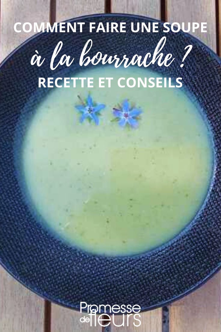 cómo hacer una sopa de borraja